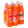Uludağ Efsane Portakal 6 x250 Ml