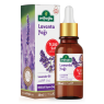 ARIFOGLU 20 ML LAVANTA YAGI.