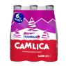 Çamlıca Frambuaz 6x200 Ml