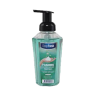 Fairy Nemlendirici Sıvı El Sabunu Bodrum Mandalin750 Ml