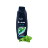 Blendax Şamp. 500 Ml Erkekler İçin Mentollü