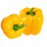 ETC.MNV.ITHAL DOLMA SARI KG