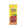 Juss Cooler Elma Vişne 200 Ml