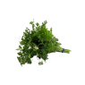 Maydanoz